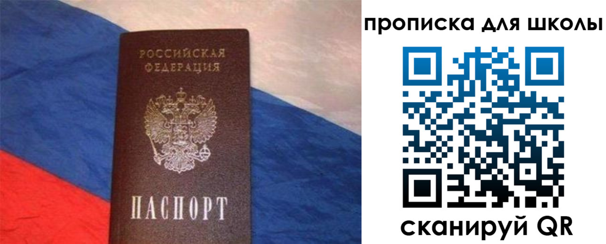 прописка поиск в Краснознаменске